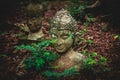 Old statue of buddha on ground with leave at Umong temple, Chiangmai Thailand Royalty Free Stock Photo