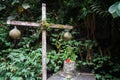 Old statue of Ganesha covered with green moss, Ubud, Bali Royalty Free Stock Photo