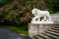 Old statue of lion and bush of lilac in city park after rain Royalty Free Stock Photo