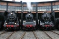 Old steamer locomotives Royalty Free Stock Photo