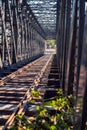 Old steel bridge with railway tracks and grass Royalty Free Stock Photo