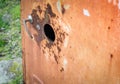 Old steel cabinet in the park Royalty Free Stock Photo