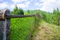 Old steel mesh fence. In the mountains. Green Royalty Free Stock Photo