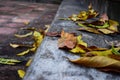 Old steps in a forest during the autumn time Royalty Free Stock Photo