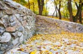 Old steps in a forest during the autumn time. Royalty Free Stock Photo