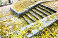 Old steps in a forest during the autumn time. Royalty Free Stock Photo