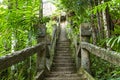 Old steps in rainforest jungle Royalty Free Stock Photo