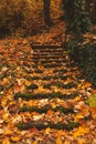 Old stone abandoned stairs under the thick layer of colorful autumn leaves, covered in moss Royalty Free Stock Photo