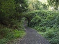 Old stone aqueduct, water duct arc at Cubo de la galga nature park, path in beautiful mysterious Laurel forest