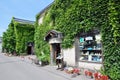 Old stone architecture and quaint little shops covered with green plants, Otaru, Japan