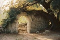 an old stone archway in the middle of a forest Royalty Free Stock Photo