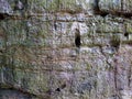 Old stone background texture. Cave wall rusty pattern scratched Royalty Free Stock Photo