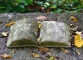 Old stone book