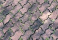 Old stone brick floor background texture with green grass Royalty Free Stock Photo