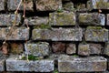 Old stone brick wall with green moss Royalty Free Stock Photo
