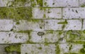 Old stone brick wall with mold and moss texture. background, architecture. Royalty Free Stock Photo