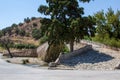 The old stone bridge across the river there in Crete. Royalty Free Stock Photo