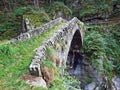 An old stone bridge across the stream Ri d`Alzasca, Magic Valley or Valle Magia Valle Maggia