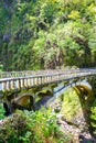 An old stone bridge across a valley with the river in a jungle on the island of Maui, Hawaii Royalty Free Stock Photo