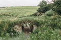 old stone bridge arch road castle architecture Royalty Free Stock Photo