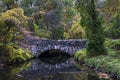 An old stone bridge in deep forest landscape in fall season. Reflection of the bridge in calm water with leaves Royalty Free Stock Photo