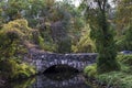 An old stone bridge in deep forest landscape in fall season. Reflection of the bridge in calm water with leaves Royalty Free Stock Photo