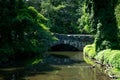 An old stone bridge in deep forest landscape. Reflection of the bridge in calm water Royalty Free Stock Photo