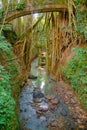 Old stone bridge in the deep jungle Bali forest Royalty Free Stock Photo