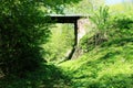 Old stone bridge in green summer forest Royalty Free Stock Photo