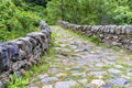 Old Stone bridge over the river in summer forest.