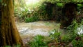 Old stone bridge over small river in tropical jungle forest on exotic esland Royalty Free Stock Photo