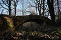 Old stone bridge over the stream autumn landscape Royalty Free Stock Photo