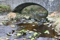 Old stone bridge Royalty Free Stock Photo