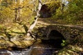 Old stone bridge over a stream in autumn Royalty Free Stock Photo