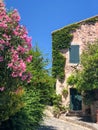 Old stone building covered with ivy, on a small street in the old town of Collioure France. Royalty Free Stock Photo