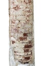 old stone column isolated on a white background Royalty Free Stock Photo