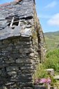 Old Stone Cottage in West Cork Royalty Free Stock Photo