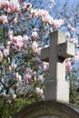 Old stone cross, catholic religion symbol with magnolia flower background Royalty Free Stock Photo