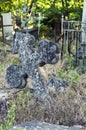 Old Stone Cross Grave Markers on Abandoned Cemetery. Royalty Free Stock Photo