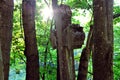 Old stone cross among trees on the grounds of an abondoned church in Europe