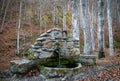 Old stone drinking fountain in the forest Royalty Free Stock Photo