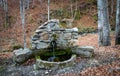 Old stone drinking fountain in the forest Royalty Free Stock Photo