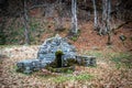 Old stone drinking fountain in the forest Royalty Free Stock Photo