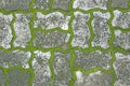 Old stone floor lichen walkway background Royalty Free Stock Photo