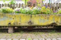 Old stone flower bed covered with moss with colorful pansies, cobblestone road and a wooden fence Royalty Free Stock Photo