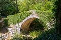 Old stone footbridge over a mountain river. Green ivy growing on the stone arch. Royalty Free Stock Photo