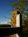 Old stone gatepost with orange lichen