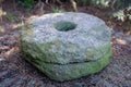 Old stone hand-made millstones for grinding grain in a village in green moss in a pine forest as a symbol of antiquity