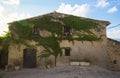 House decorated with wild vine