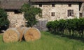 Old stone house with a large wooden gate at the center. On the left a row of hay bales and on the right a row of vi Royalty Free Stock Photo